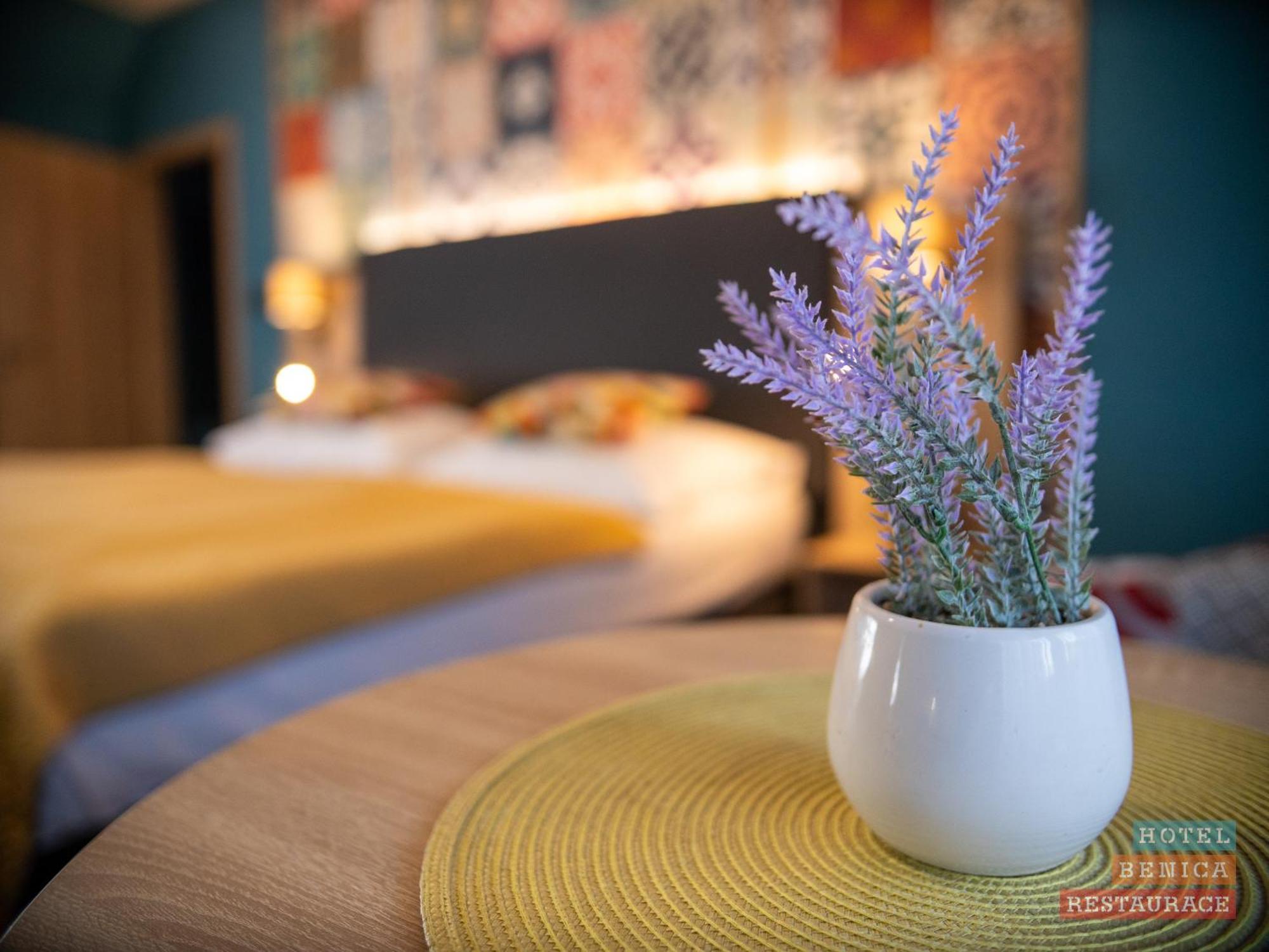 Benica Otel Benesov  Dış mekan fotoğraf